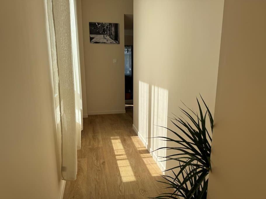 L'oeil Du Photographe - Galerie - Idealement Situe * Boulogne-sur-Mer